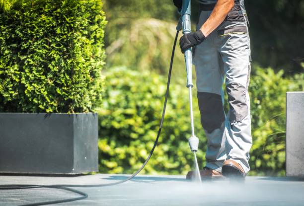  Elk River, MN Pressure Washing Pros