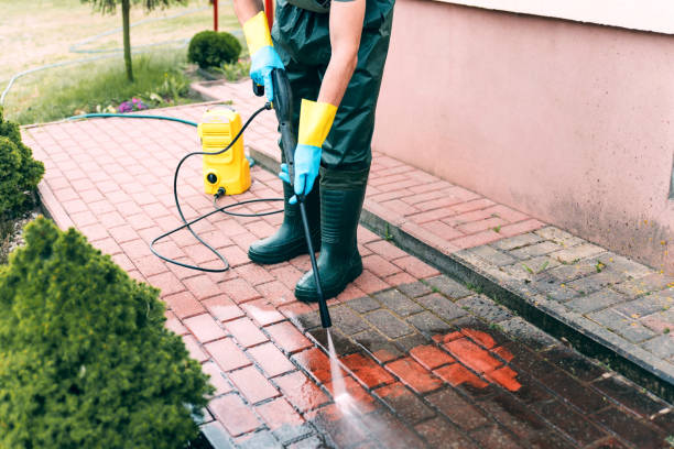 Best Pool Deck Cleaning  in Elk River, MN